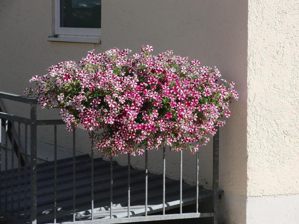 Hotel Haus Hildegard Bad Füssing Exterior foto